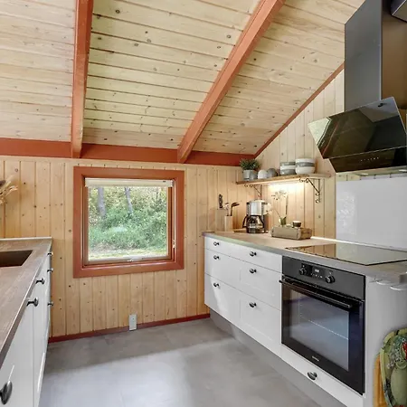 Vakantiehuis With Fireplace Vi Blåvand